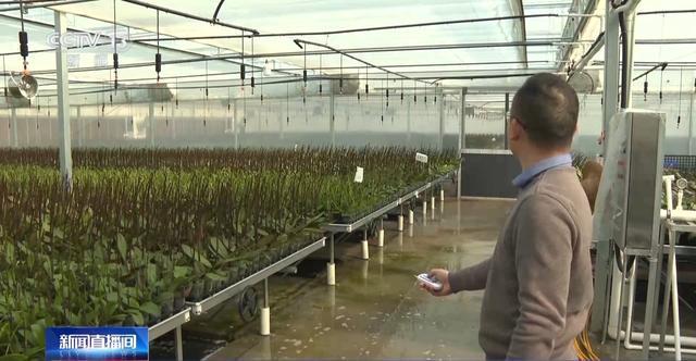 开启！创意好物热销瓦力游戏马年备货